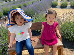 Best Flower Farms to Take Mom