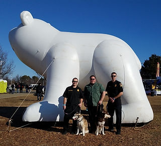 plunge-002-w-huskies_crop