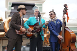 Bluegrass Unbridled Experience