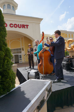 Bluegrass Unbridled Experience