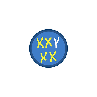 16.png