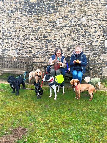 Dog Walker Farnborough, Cove, Southwood GU14