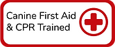 Dog Day Care Farnborough, Canine First Aid Trained