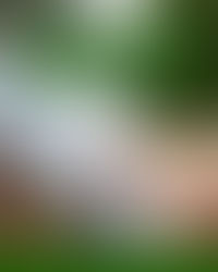 La journée sans papier