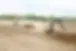 land_clearing.webp