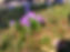 File_000.jpeg
