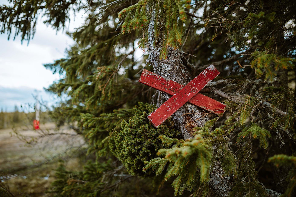 Rode wegmarkering langs een hiking trail in de Zweedse bergen.