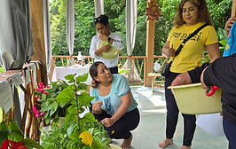 water and wisdom plant informations.jpeg