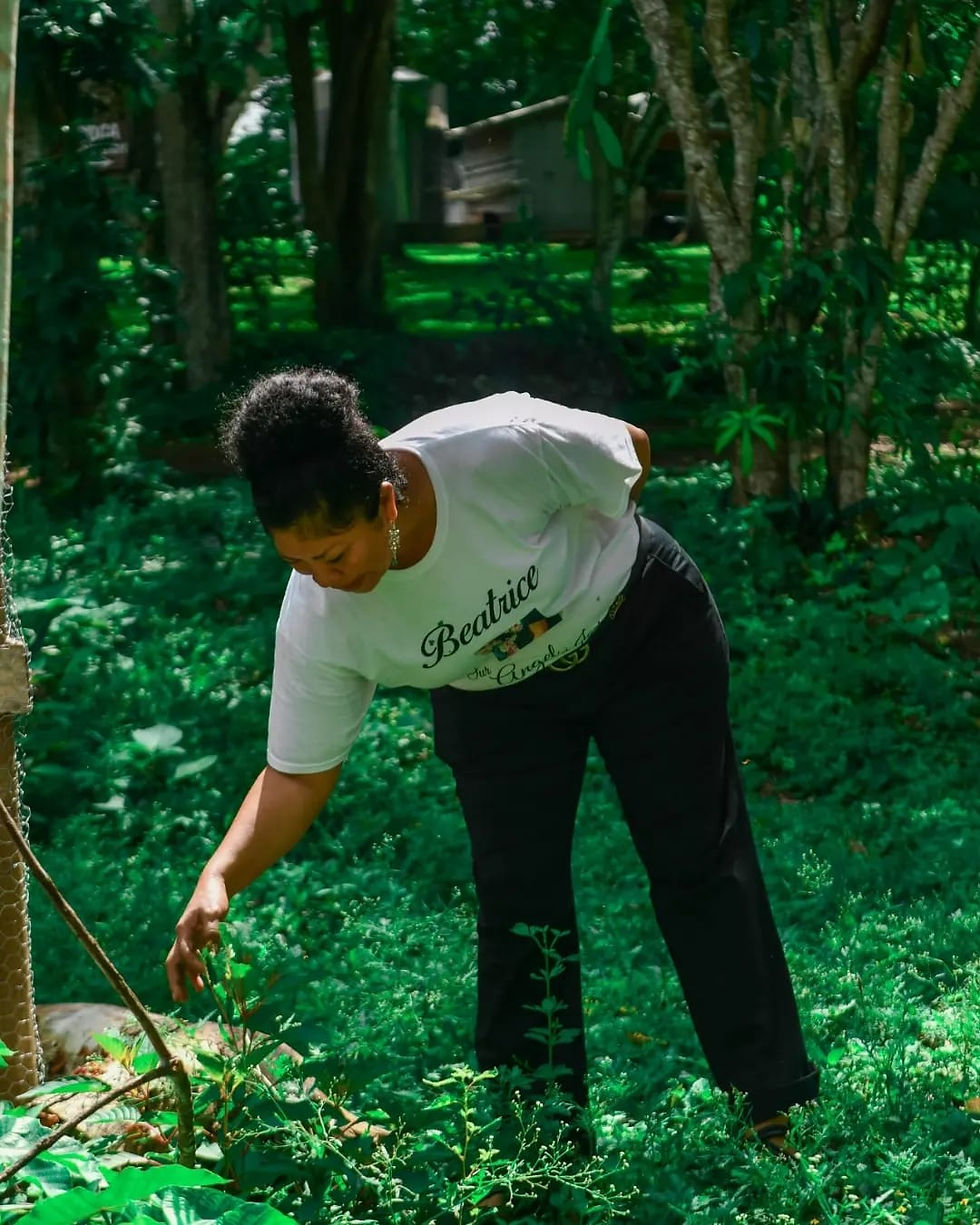 Water & Wisdom: The Yucatec Maya Spiritual Bath