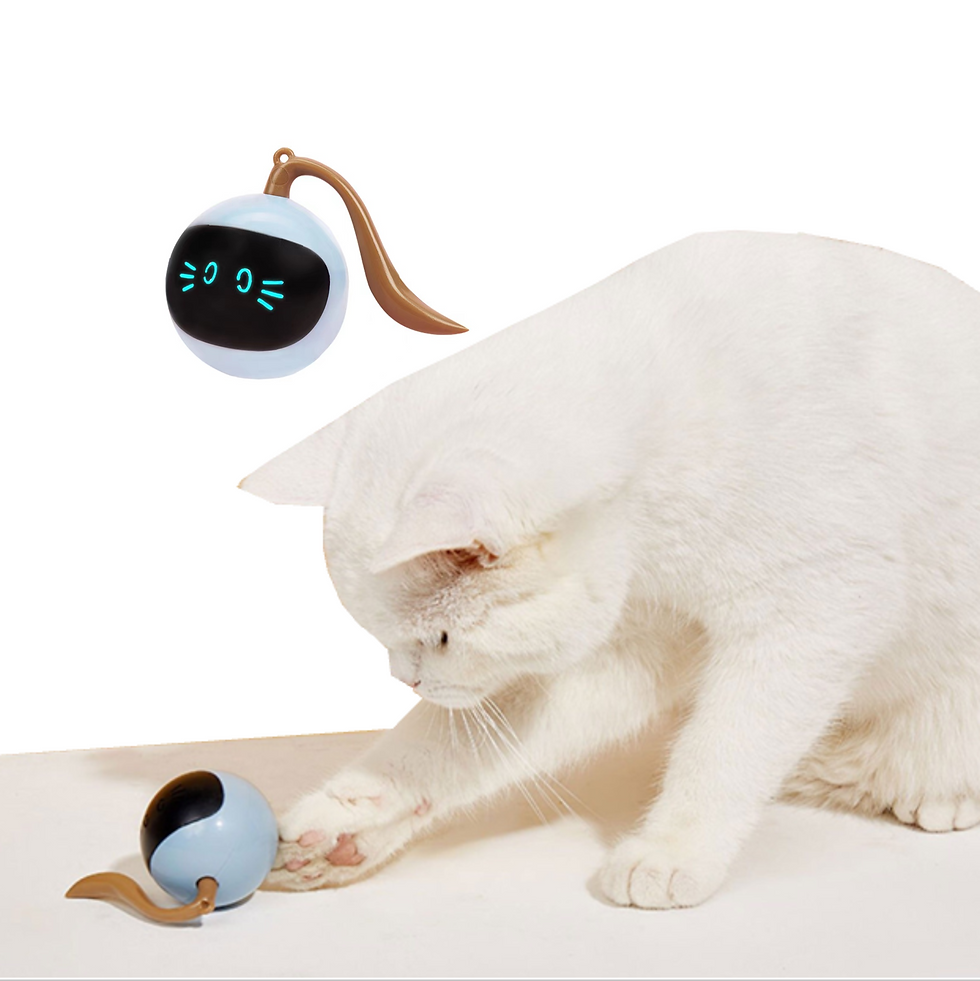 Thumbnail: Interactive Smart Cat Toy Ball