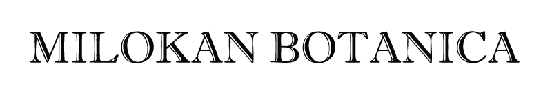 Milokan Botanica and Spiritual Supply Inc.