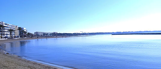 IMG_20251229_131455_edited_edited.jpg