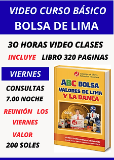 BOLSA DE LIMA (1) wix.png