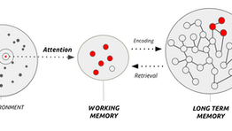 Less Focused Than They Think — Why Attention Has to Be Taught