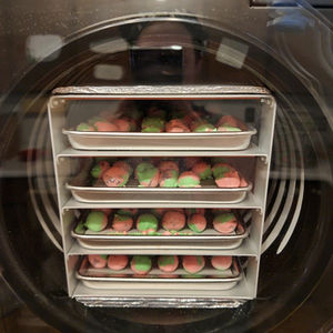 Freeze Drying