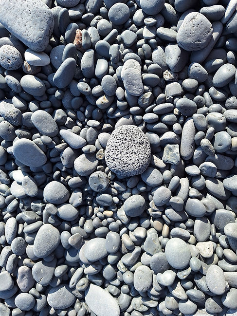 20240819_172708.jpg