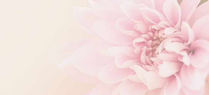 Website background2_edited.jpg