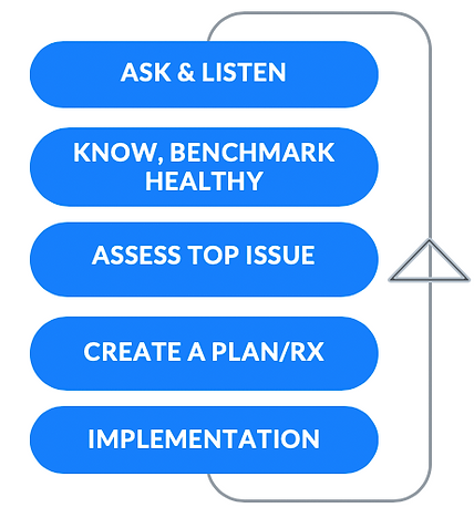 INNOVATION_CYCLE.png