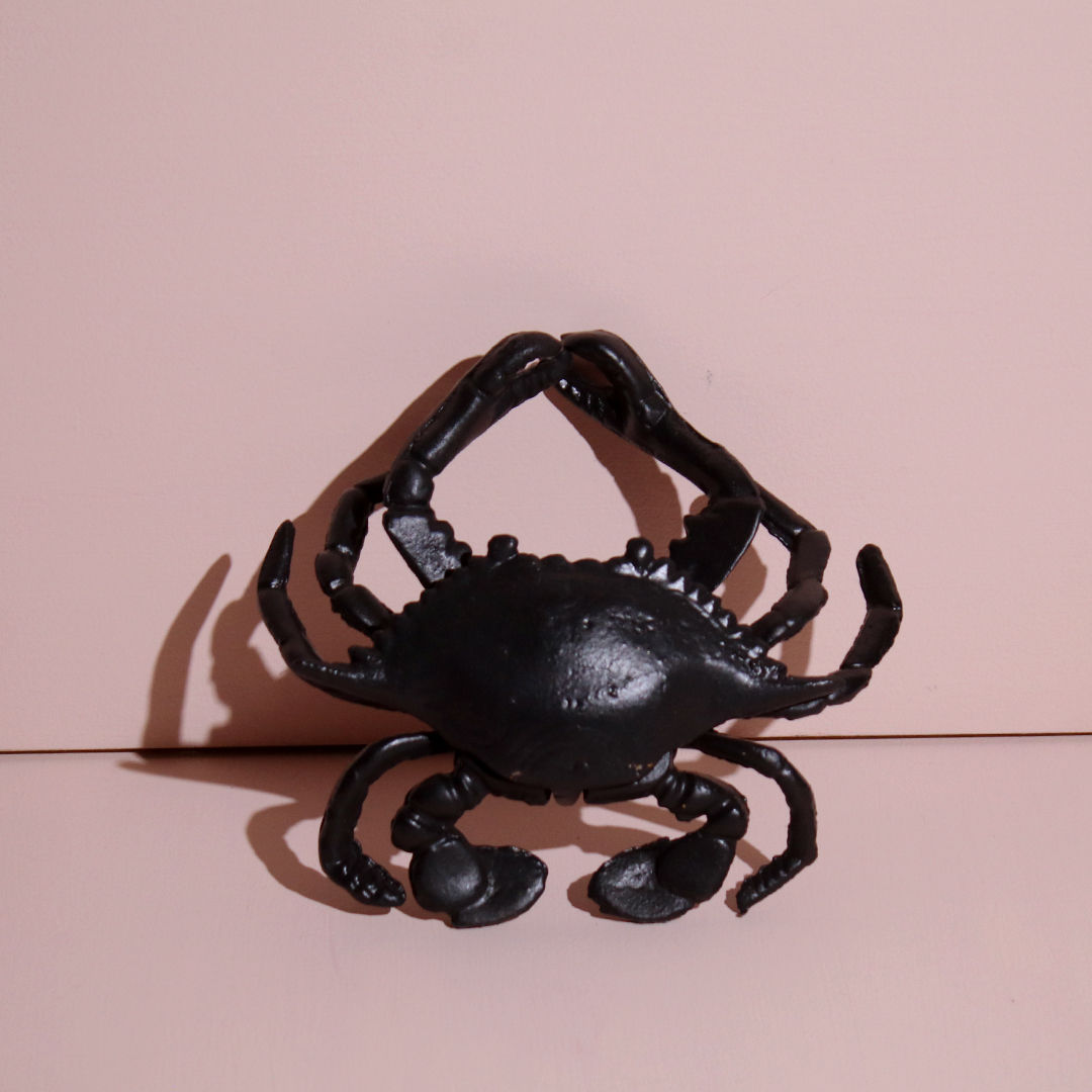 Alhajero de cangrejo negro