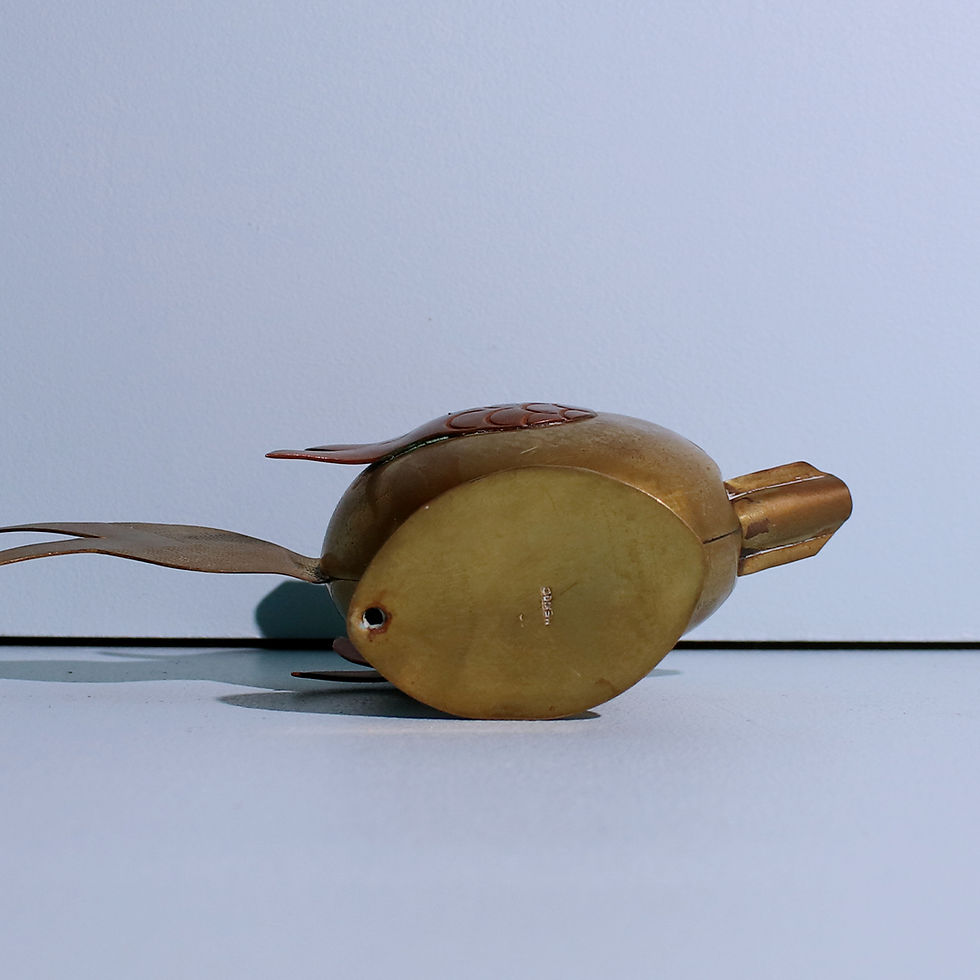 Miniatura: Pez cenicero