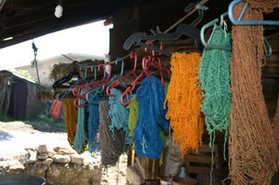 IMG_2260.jpg