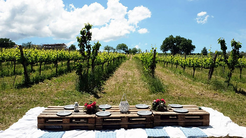pic-nic_1920x1080.jpg