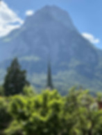 _20260529_151544.jpg