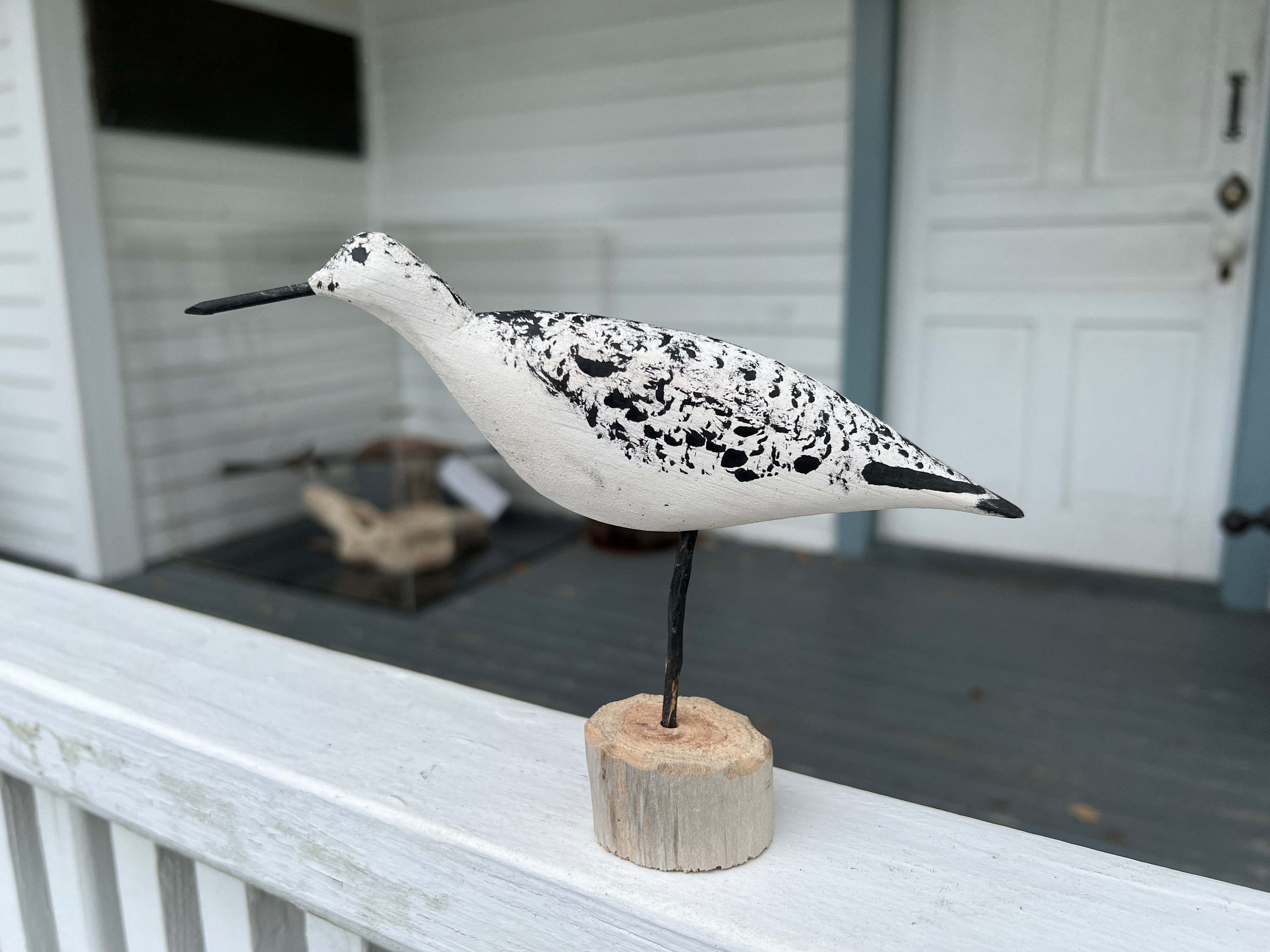 Sanderling Carving 3