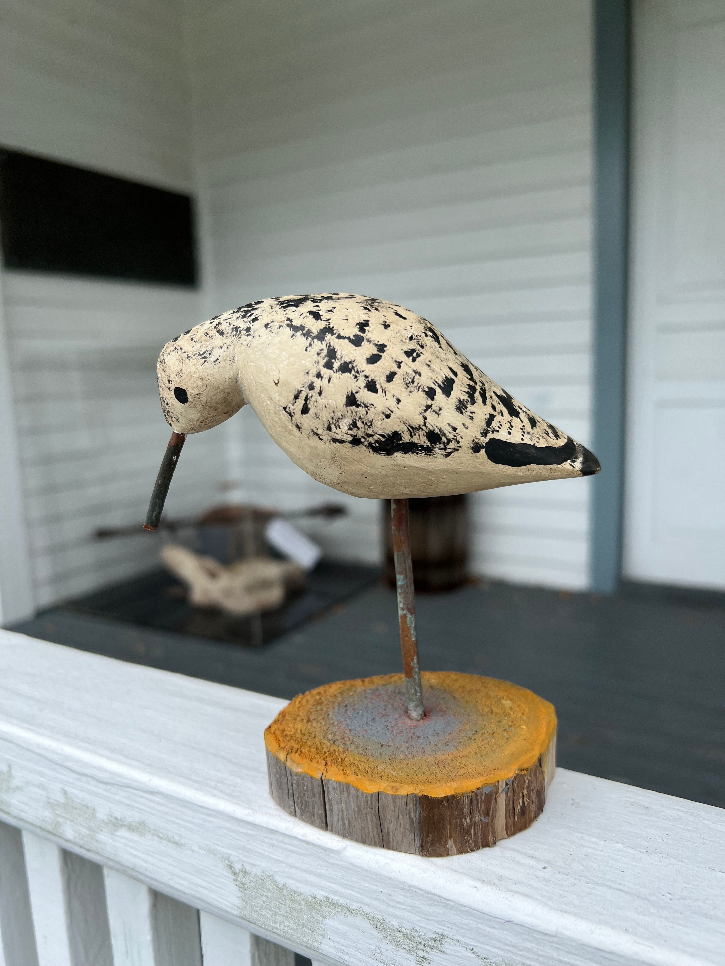 Sanderling Carving