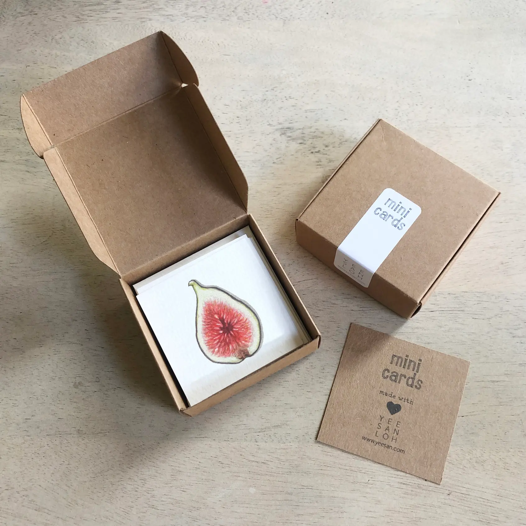 Mini Fig Cards Box Set