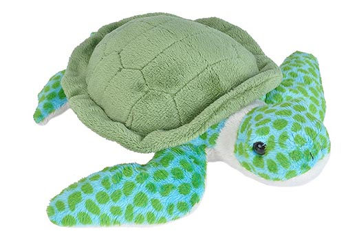Green Sea Turtle Plush