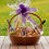 Thumbnail: Picnic baskets