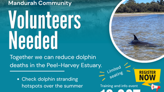 Can you help keep our dolphins safe?