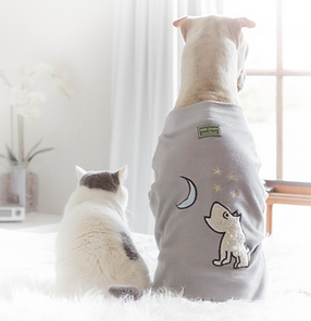 dogs in robes_edited.png