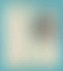 Fold-out Cape May-Lewes Ferry photo brochure, sailing schedule, and road map, printed more than 40 years ago.