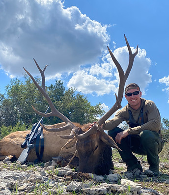 Trophy elk are among many exotic animals at Chalk Creek Exotics, located on the Jetton Ranch in the Texas Hill Country.
