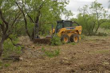 NRCS INTERNET PIC BRUSH CONTROL images.j