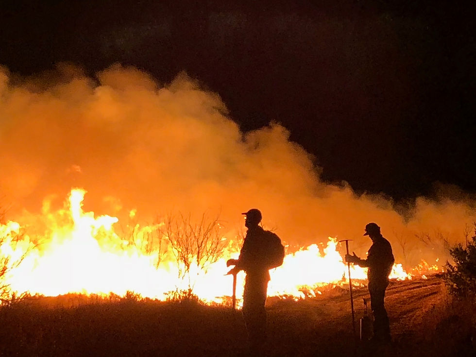Night prescribed fire and daytime smoke column