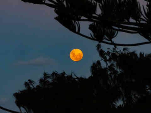 Full Moon at Town Beach