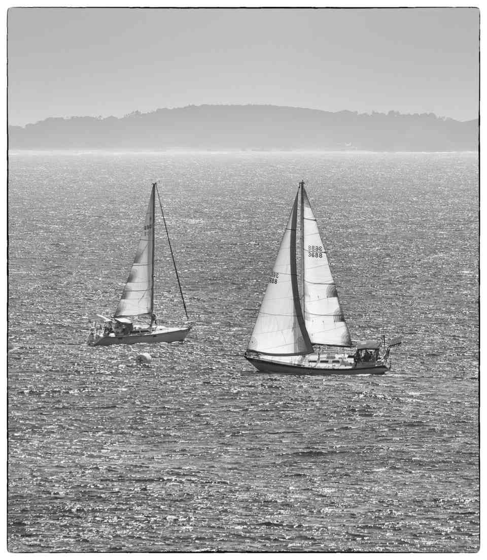 Yachts in black and white