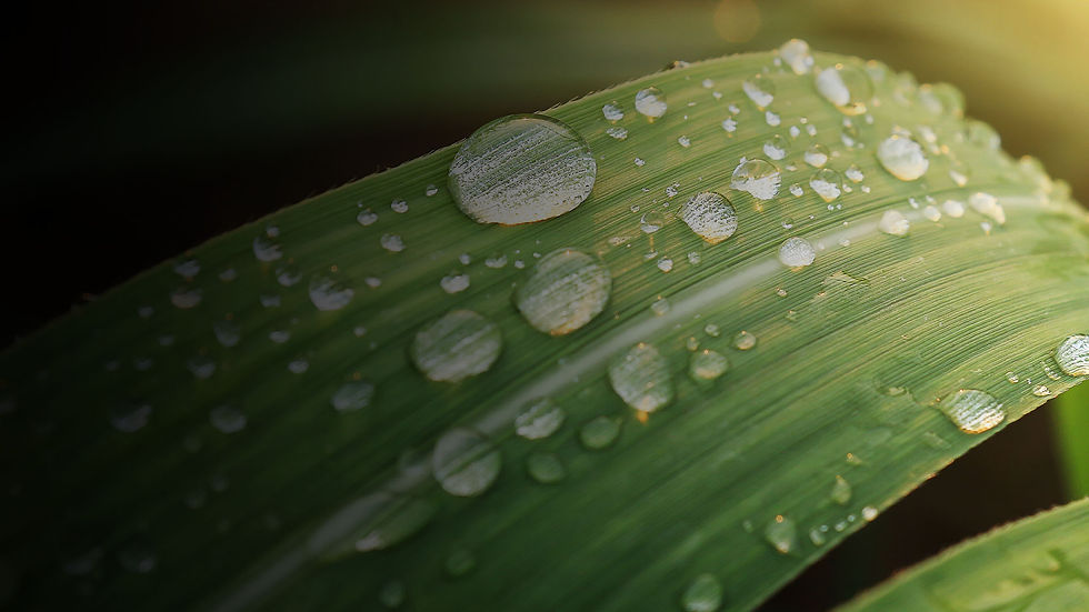 aquarun.fr - accueil.jpg