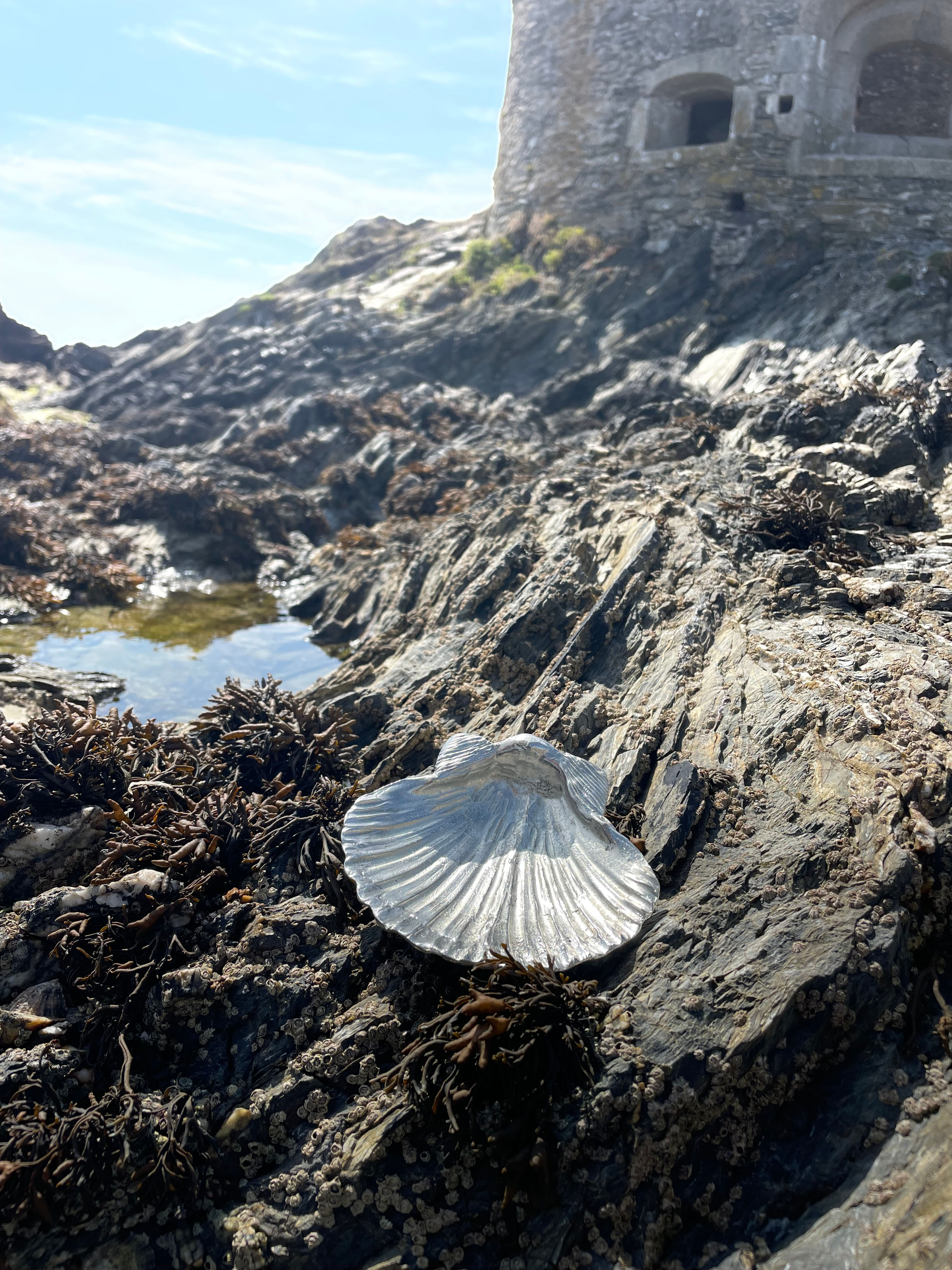 Pewter Scallop Shell