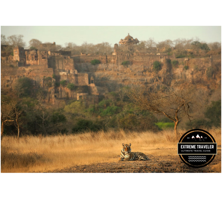 Bandhavgarh