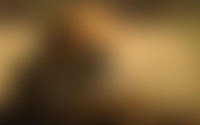 Gir National Park: The Majestic Home of the Royal King: