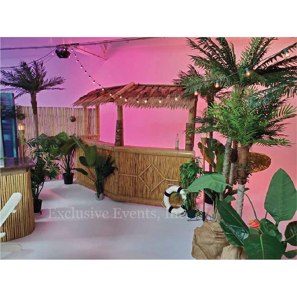 Thumbnail: Caribbean Theme Gala