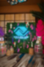 Tropical Havana Photo Op