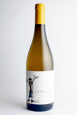 Pluriel blanc 2021 V2_edited_edited.jpg