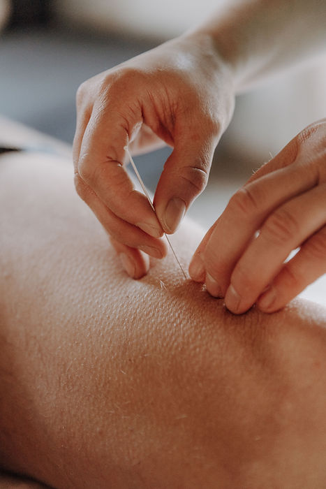 Birgit-1773(1) komprimiert.jpg