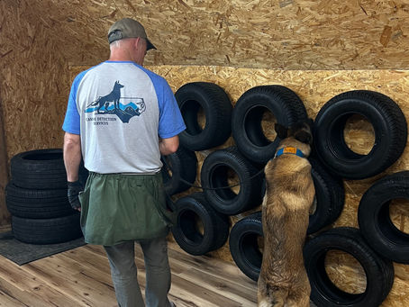 Professional Canine Tracking Training by Canine Detection Services