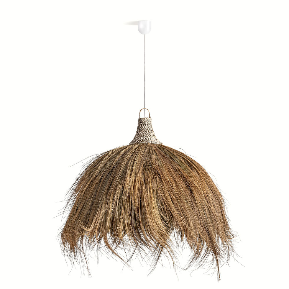 Candeeiro De Teto Bayle